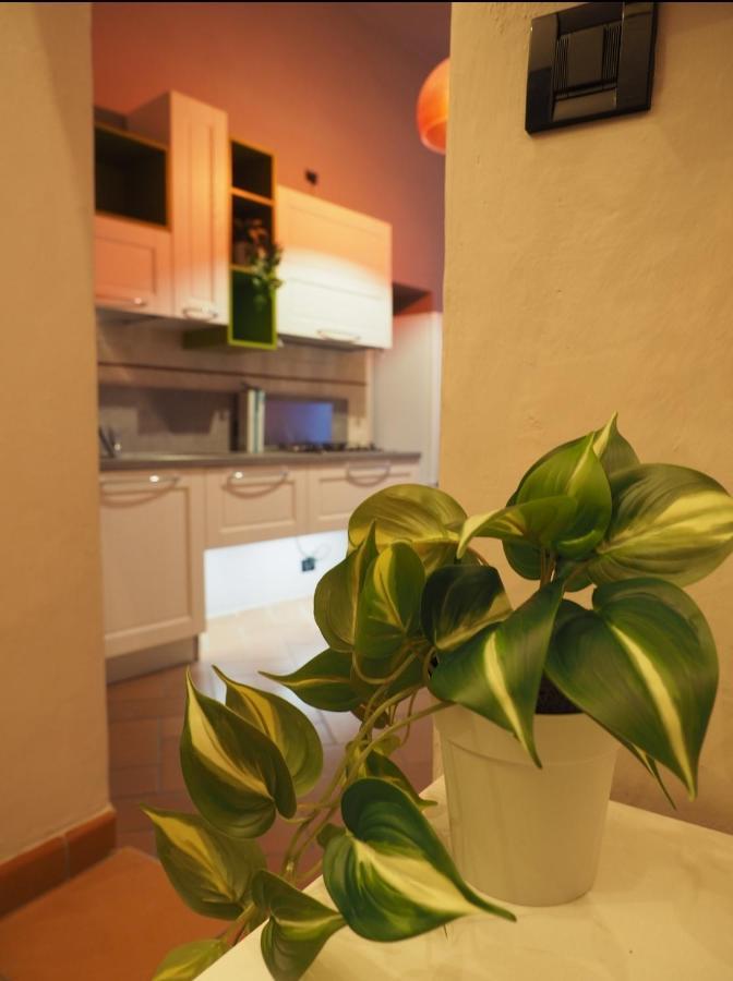Il Nido Dell'Aquila By Francigenaapartments Siena Ngoại thất bức ảnh
